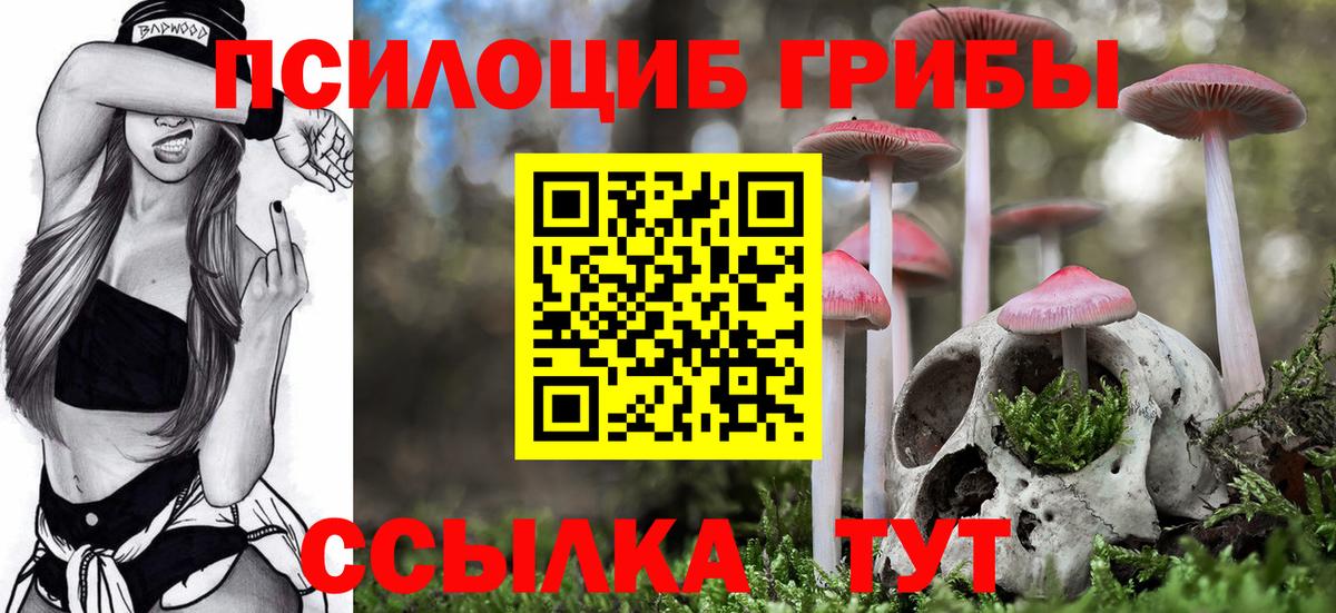 Галлюциногенные грибы Magic Shrooms Коломна