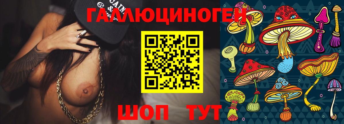Галлюциногенные грибы Psilocybine cubensis  Вход с VPN  Псилоцибиновые грибы мухоморы  Коломна 